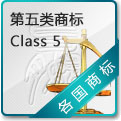 第五类商标